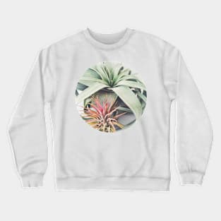 Air Plant Collection III Crewneck Sweatshirt